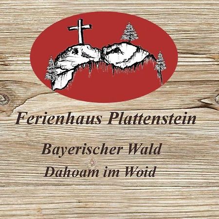 Ferienhaus Plattenstein Kirchberg  المظهر الخارجي الصورة