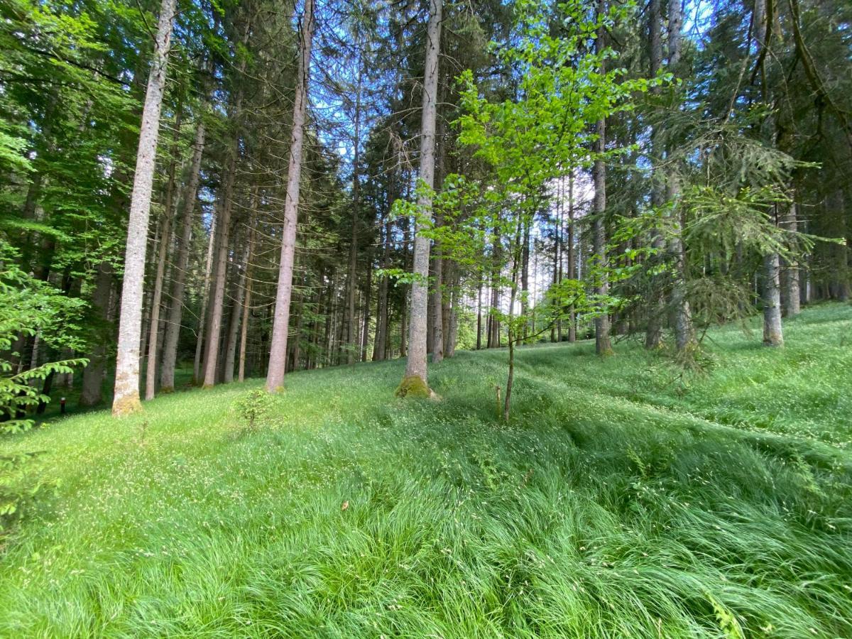 Ferienhaus Plattenstein Kirchberg  المظهر الخارجي الصورة