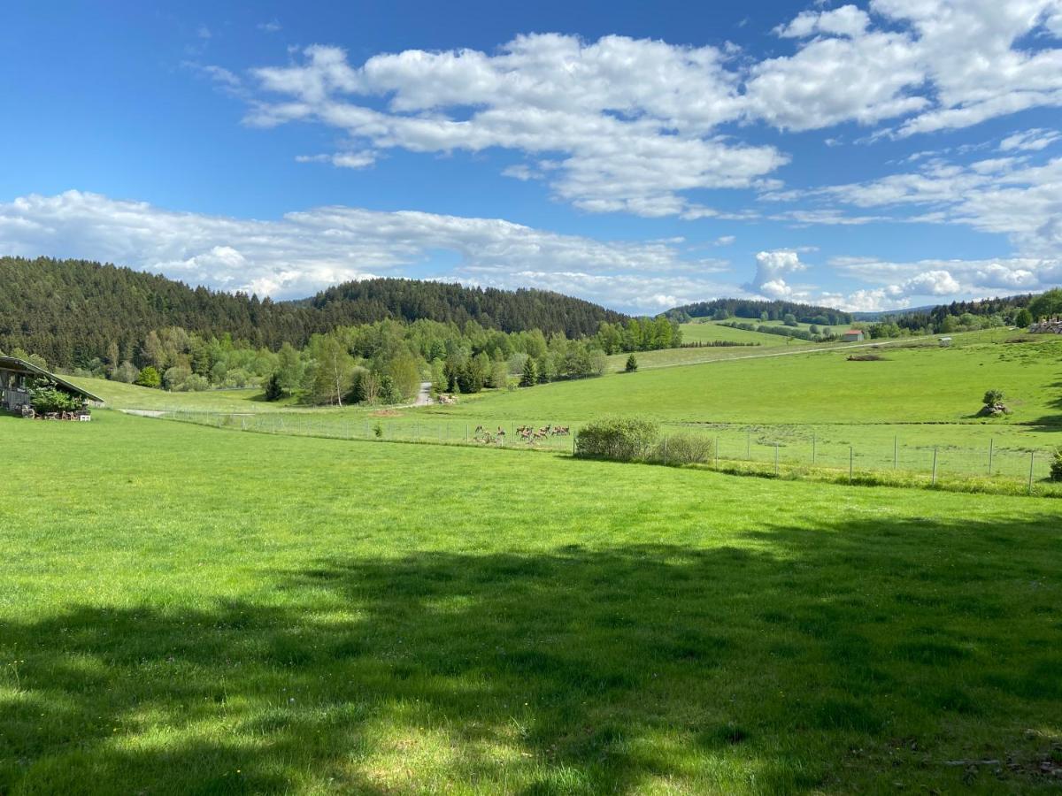 Ferienhaus Plattenstein Kirchberg  المظهر الخارجي الصورة